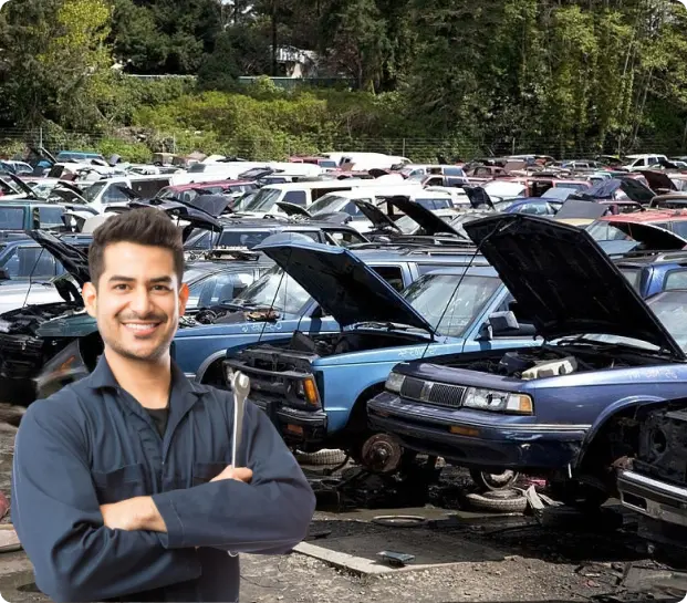 Our Seamless Services For You